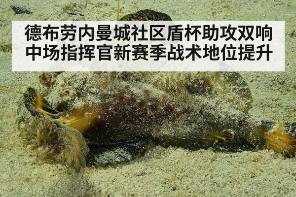 德布劳内曼城社区盾杯助攻双响 中场指挥官新赛季战术地位提升