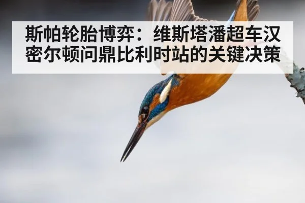 斯帕轮胎博弈：维斯塔潘超车汉密尔顿问鼎比利时站的关键决策