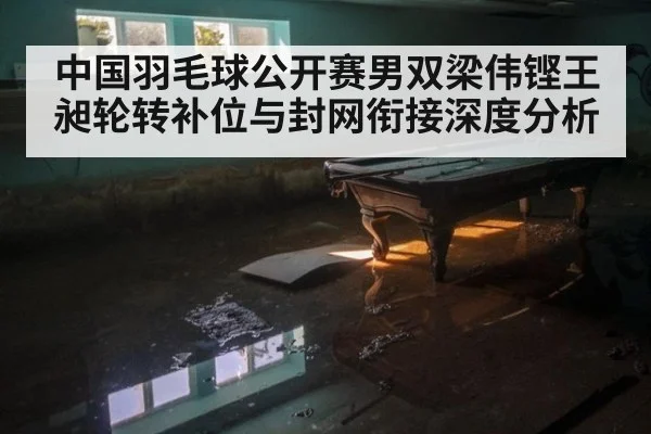 中国羽毛球公开赛男双梁伟铿王昶轮转补位与封网衔接深度分析